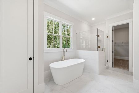 New construction Single-Family house 323 Reese Wy, Ball Ground, GA 30107 plan The Desoto A - image 5