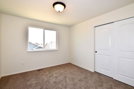 New construction Single-Family house 437 Vivid Ln, Windsor, CO 80550 null- photo 35 35