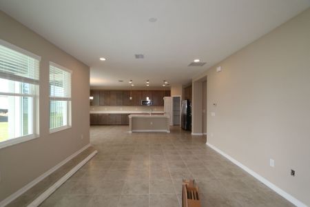 New construction Single-Family house 38326 Tobiano Loop, Dade City, FL 33525 Casanova- photo 104 104