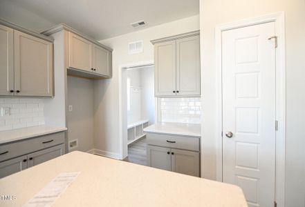 New construction Single-Family house 109 Hudson Village Dr, La Grange, NC 28551 plan Smith - image 11