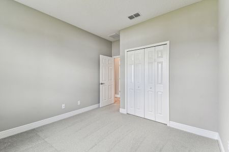 New construction Single-Family house 7571 Painted Sky Place, Land O' Lks, Land O' Lakes, FL 34637 plan Newport II - image 16