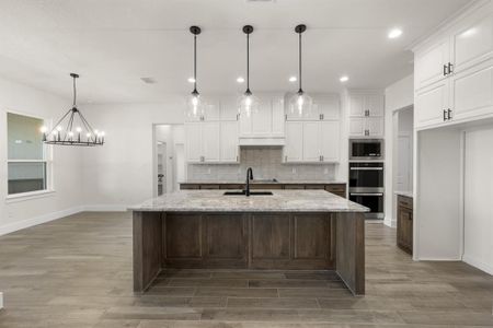 New construction Single-Family house 4867 Prairie Sky Ln, Dish, TX 76247 - image 15