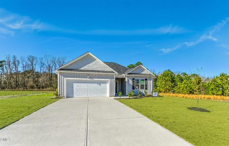 New construction Single-Family house 205 Hookbill Ln, Unit Lot 17, Lillington, NC 27546 - image