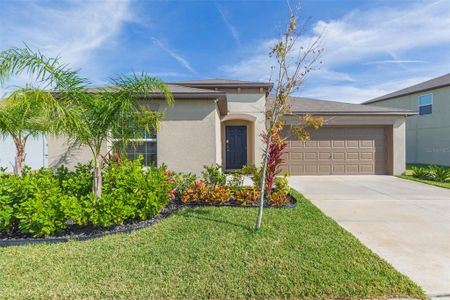 New construction Single-Family house 12712 Weston Oaks Ln, Riverview, FL 33579 - photo 0