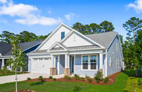 New construction Single-Family house 1216 Halter Pl, Calabash, NC 28467 plan The Boardwalk - image