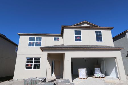 New construction Single-Family house 4877 Foxglove Cir, Lakeland, FL 33811 Alenza- photo 82 82