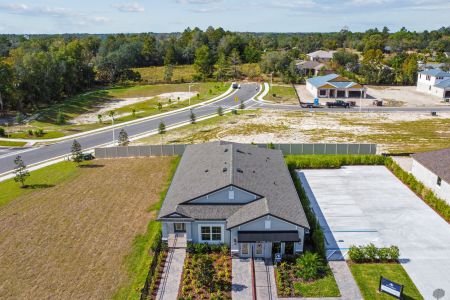 Avalon West by M/I Homes in Spring Hill - photo 16 16