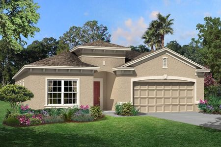 New construction Single-Family house 10805 Rolling Moss Road, Tampa, FL 33647 - photo 0