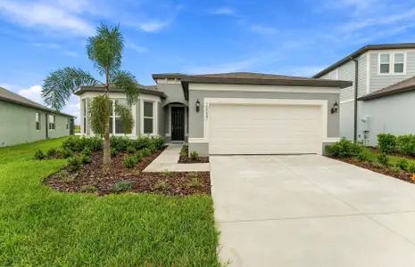 New construction Single-Family house 10037 Trellis Vine Wy, Parrish, FL 34219 plan Medina - image
