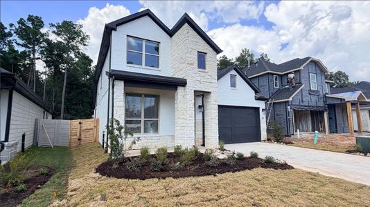 New construction Single-Family house 8631 Jam Session Dr, Montgomery, TX 77316 - image