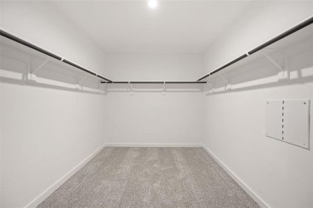 New construction Single-Family house 10512 Wellesly Terrace Trl, Houston, TX 77051 null- photo 6 6