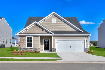 New construction Single-Family house 1012 American Egret Wy, Morehead City, NC 28557 plan Garland - image