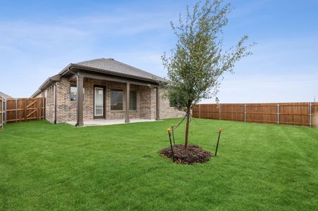 Mantua Point Classics by David Weekley Homes in Van Alstyne - photo 23 23