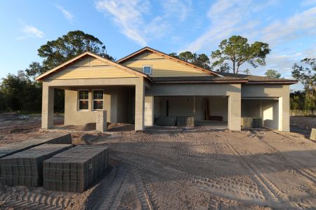 New construction Single-Family house 20219 Oriana Loop, Land O' Lakes, FL 34638 Corina  III- photo 24 24