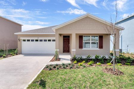 New construction Single-Family house 1233 Limbali Street, Mount Dora, FL 32757 - photo 0