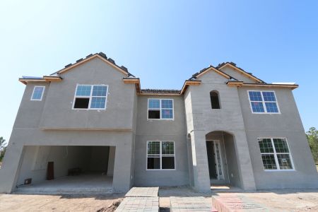 New construction Single-Family house 1971 Drummond Pt, Zephyrhills, FL 33541 Grandsail  III- photo 45 45