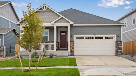 New construction Single-Family house 18114 Coppermallow Trl, Parker, CO 80134 plan CHATHAM - image