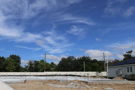 New construction Single-Family house 3822 Artic Den Ln, Apopka, FL 32712 plan San Marino II Fl - image