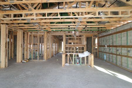 New construction Single-Family house 20264 Oriana Loop, Land O' Lakes, FL 34638 Santa Monica- photo 38 38