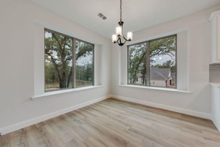 New construction Single-Family house 123 Rj Smith Dr, Boyd, TX 76023 - image 16