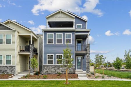 New construction Single-Family house 3071 Curly Grove, Colorado Springs, CO 80922 plan Primrose - image