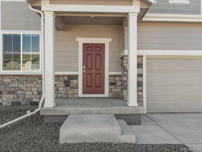 New construction Single-Family house 1032 Odessa Lake Rd, Severance, CO 80550 null- photo 35 35