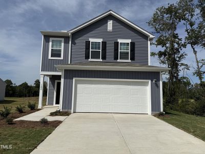 New construction Single-Family house 1290 Pond Overlook Dr, Nashville, NC 27856 - image