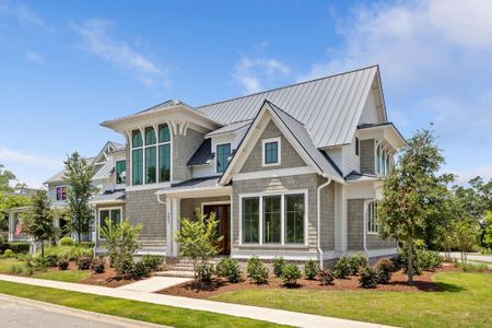 New construction Single-Family house 221 Black Powder Ln, Charleston, SC 29492 - image