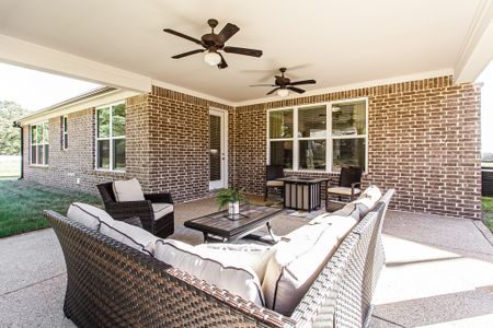 Walker Farms by Grant & Co in Bartlett - image 5