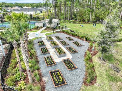 New construction Single-Family house 236 Hickory Pine Dr, St. Augustine, FL 32092 Palmary- photo 13 13