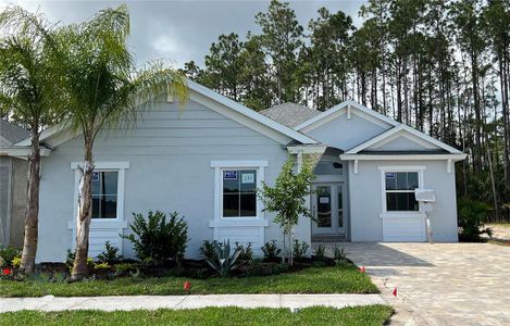 New construction Single-Family house 231 Hawthorn Avenue, Palm Coast, FL 32164 The Ashbourne- photo 0