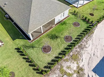 New construction Single-Family house 1018 Megano Blvd, Deland, FL 32724 plan Birkdale - image 4