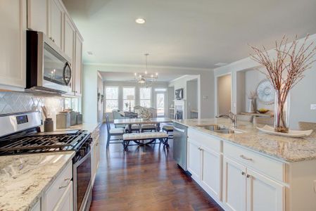 New construction Single-Family house 4 Tirian Pl, Acworth, GA 30101 - image 10