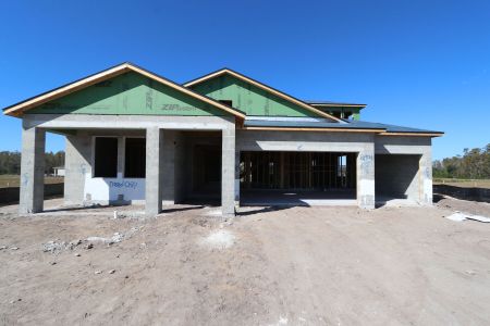 New construction Single-Family house 5867 Riverston Ave, Wesley Chapel, FL 33545 Corina  III Bonus- photo 11 11