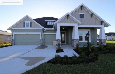 New construction Single-Family house 12862 Carmela Circle W, San Antonio, FL 33576 - photo 0