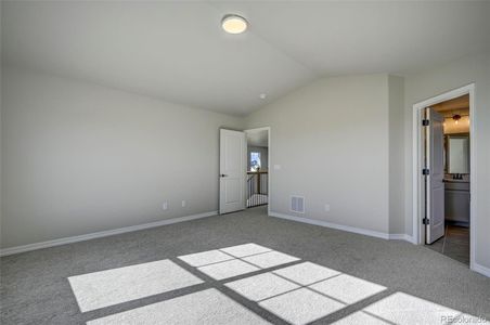 New construction Single-Family house 10137 Waterton Canyon Wy, Colorado Springs, CO 80924 - image 17
