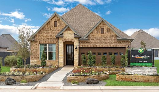 ARTAVIA 45' Homesites by David Weekley Homes in Conroe - photo 18 18