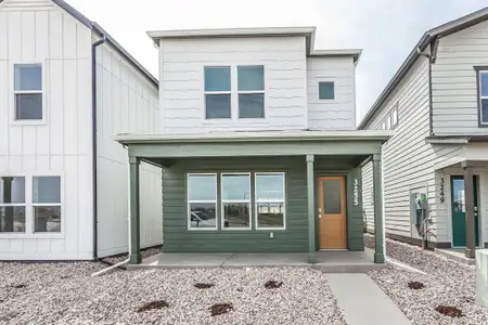 New construction Single-Family house 3255 Comet St, Fort Collins, CO 80524 plan Marigold - image 3