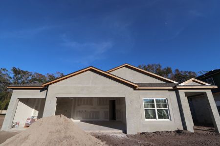 New construction Single-Family house 20339 Oriana Loop, Land O' Lakes, FL 34638 Newport II- photo 55 55