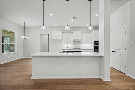 New construction Single-Family house 3012 Rd 66111, Dayton, TX 77535 - image 6