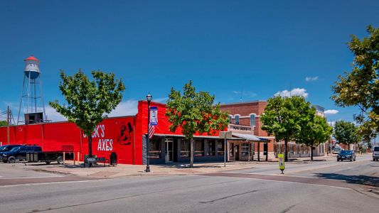 New construction Single-Family house 236 Shenandoah Dr, Kyle, TX 78640 plan The Madison - image