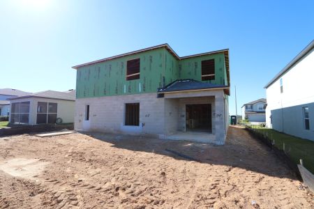 New construction Single-Family house 12294 Hilltop Farms Dr, Dade City, FL 33525 Malibu- photo 18 18