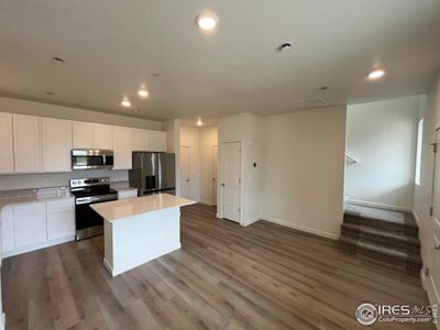 Living room and kitchen