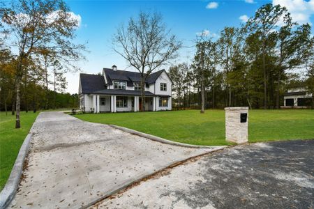 New construction Single-Family house 8732 Nathan Dr, Waller, TX 77484 - image