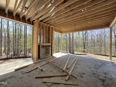 New construction Single-Family house 6477 Sanctuary Falls Dr, Raleigh, NC 27614 - image 8