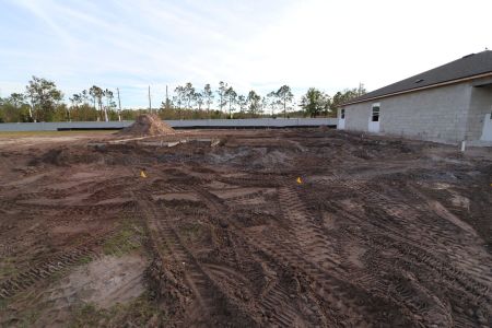 New construction Single-Family house 20027 Oriana Loop, Land O' Lakes, FL 34638 Corina  III- photo 7 7