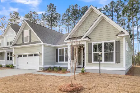 New construction Single-Family house 1069 Tributary Blvd, Hollywood, SC 29449 - image