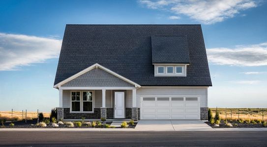 New construction Single-Family house 1814 Cord Grass Dr, Fort Collins, CO 80524 plan Aspen - image