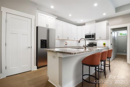 New construction Single-Family house 48 Creekside View Dr, Asheville, NC 28804 - image 4