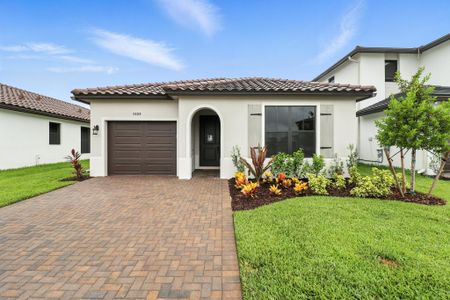Maple Ridge by CC Homes in Ave Maria - photo 3 3